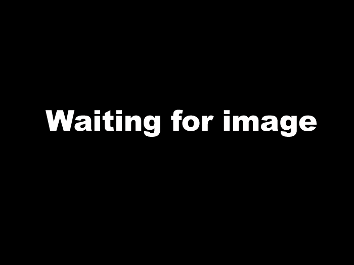 Waiting for image